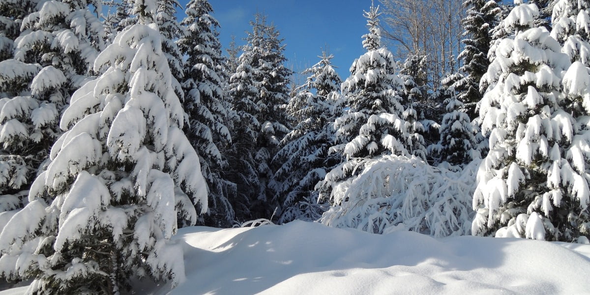Winter-Slovakia