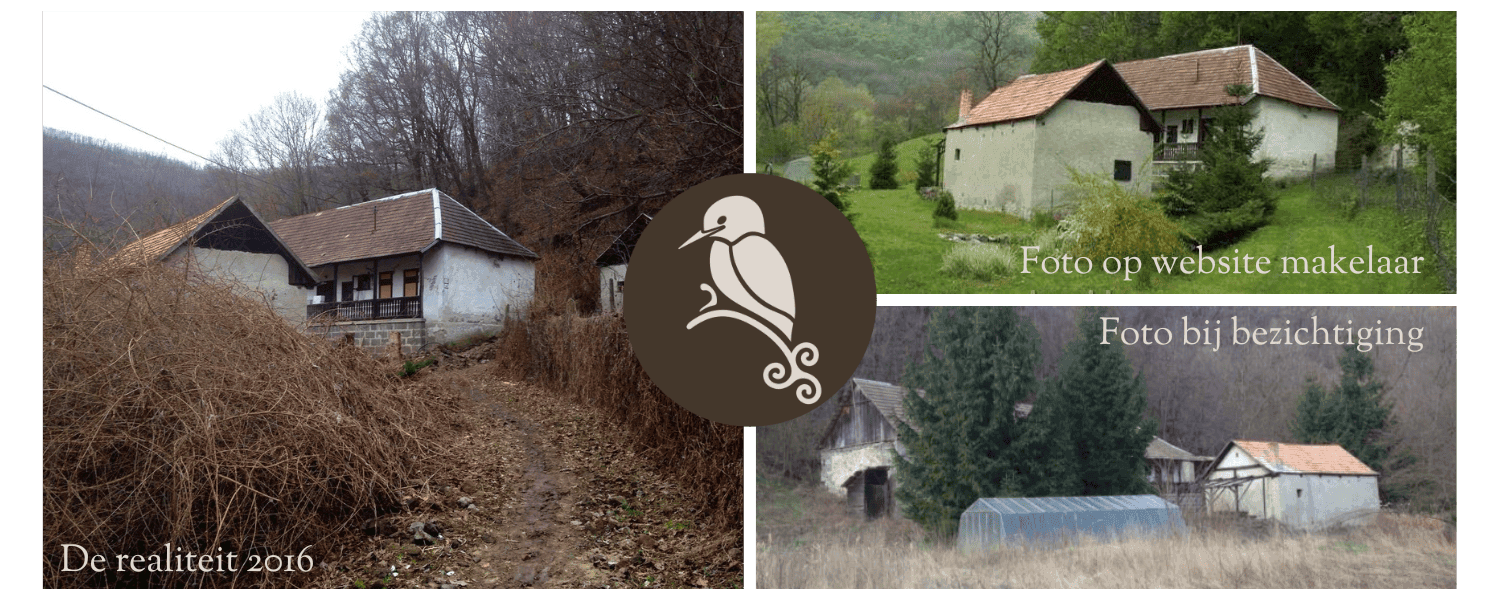 Realiteit vs website